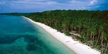Pantura Jawa Kritis! Erosi Hantam Mayoritas Garis Pantai dalam Dua Dekade
